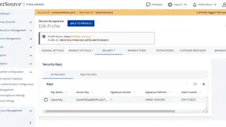 Cybersource screenshot