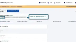 Cybersource screenshot