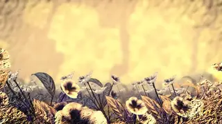 Cylne screenshot