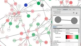 Cytoscape screenshot