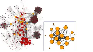 Cytoscape screenshot