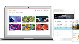 D2L Brightspace screenshot