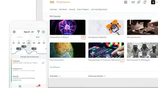 D2L Brightspace screenshot