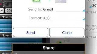 Daily Expenses License screenshot