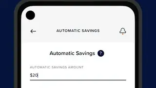 Daily Pay screenshot