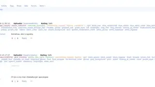 Danbooru screenshot