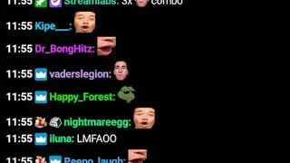 DankChat screenshot