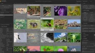 Darktable screenshot