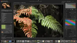 Darktable screenshot