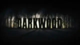Darkwood screenshot
