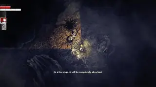 Darkwood screenshot
