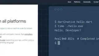 Dart screenshot
