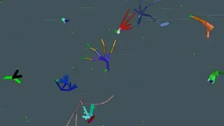 Darwin Pond screenshot