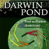 Darwin Pond