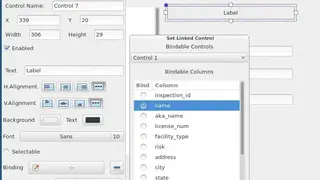 Data Forms Action! screenshot