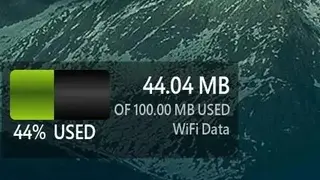 Data Usage screenshot