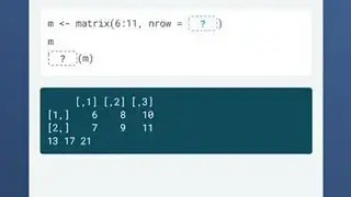 DataCamp: Learn Data Science screenshot