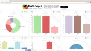 Datacopia screenshot
