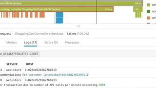 Datadog APM screenshot