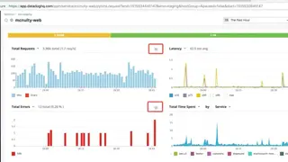 Datadog APM screenshot