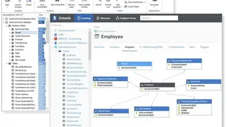 Dataedo screenshot