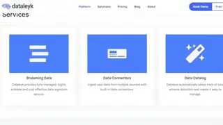 Dataleyk screenshot