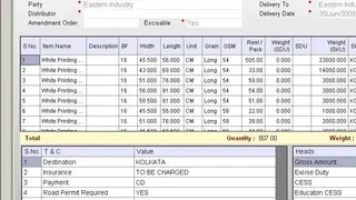 Dataman ERP screenshot