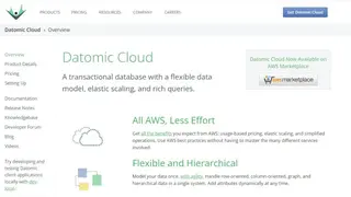 Datomic screenshot