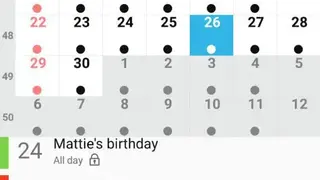 Day by Day Organizer PRO screenshot