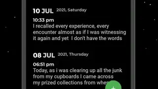 Daybook screenshot
