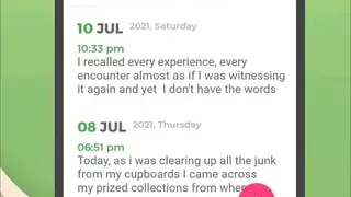 Daybook screenshot