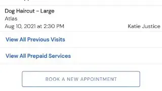 DaySmart Pet screenshot