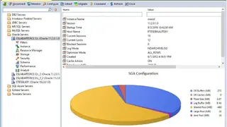 DBArtisan screenshot