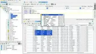 DbVisualizer screenshot
