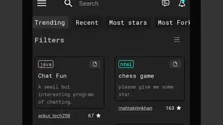 Dcoder, Compiler IDE screenshot