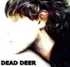 Dead Deer