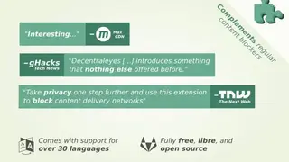 Decentraleyes screenshot