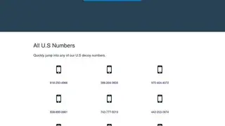 Decoy Digits screenshot