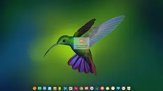 Deepin Screen Recorder screenshot