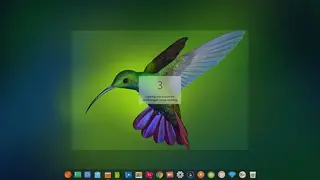 Deepin Screen Recorder screenshot
