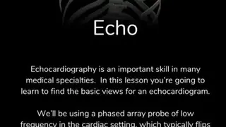 Deepscope Ultrasound Simulator screenshot
