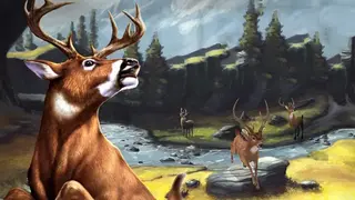 DEER HUNTER CLASSIC screenshot