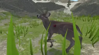Deer Hunter Reloaded screenshot