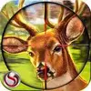Deer Hunting