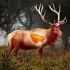 Deer Target Hunting – Pro