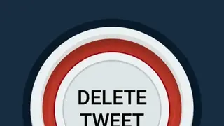 DELETE TWEETS: DLTTR screenshot