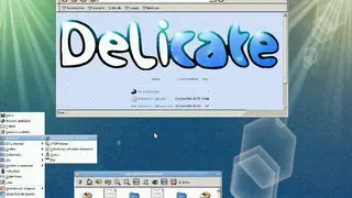 DeLicate Linux screenshot