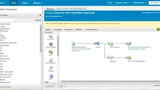 Dell Boomi AtomSphere screenshot
