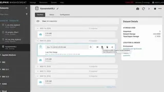Delphix screenshot
