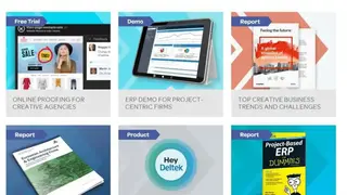 Deltek Vision screenshot